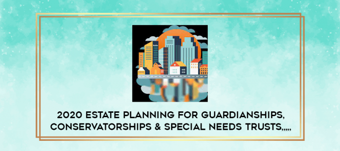 2020 Estate Planning for Guardianships