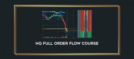 NQ Full Order Flow Course Online courses
